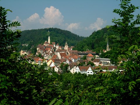 Single heidenheim brenz